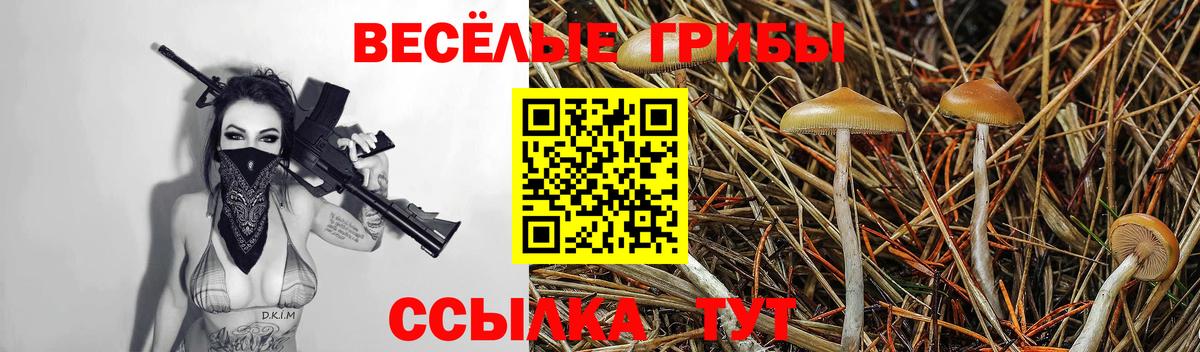 Амурск  Псилоцибиновые грибы мухоморы  Вход с VPN 