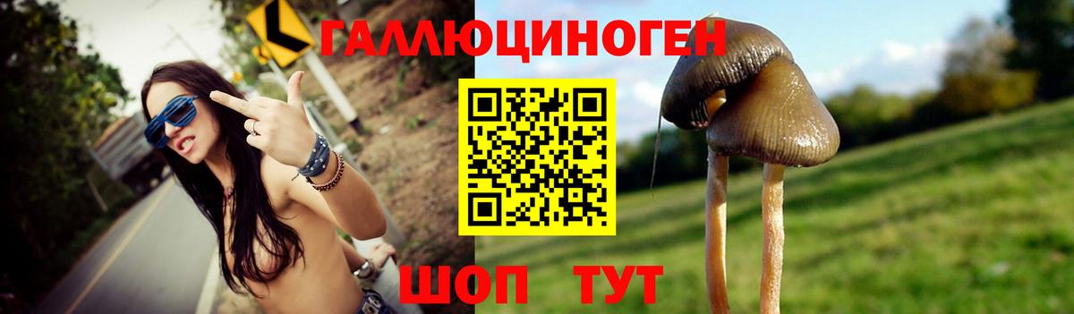 Галлюциногенные грибы Cubensis Амурск